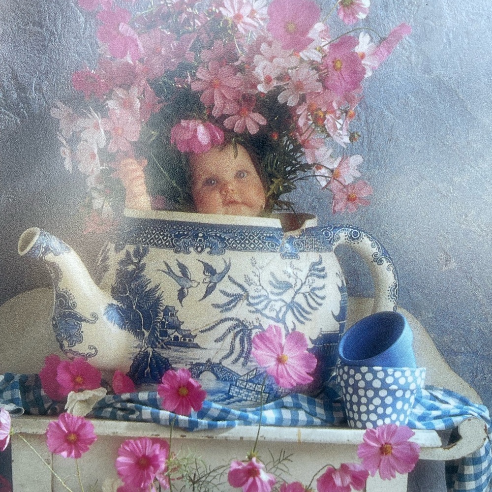 Anne Geddes 12x15 framed picture - Picture 2 of 4